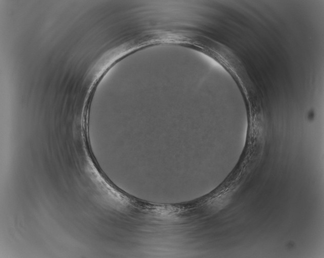 X0000115270803200912111202