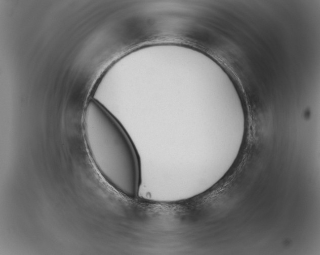 X0000115270805200912111202