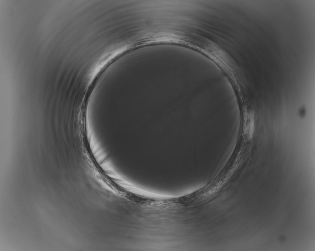 X0000115270806200912111202