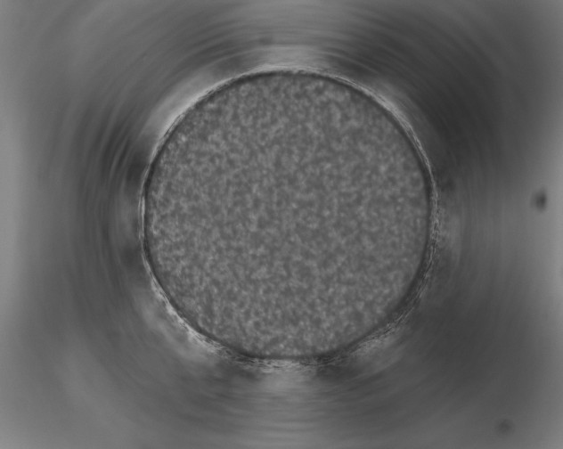 X0000115270807200912111202