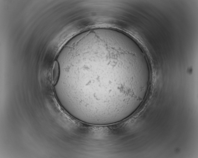 X0000115270809200912111202