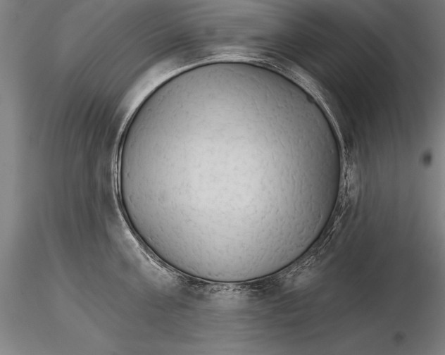 X0000115270811200912111201