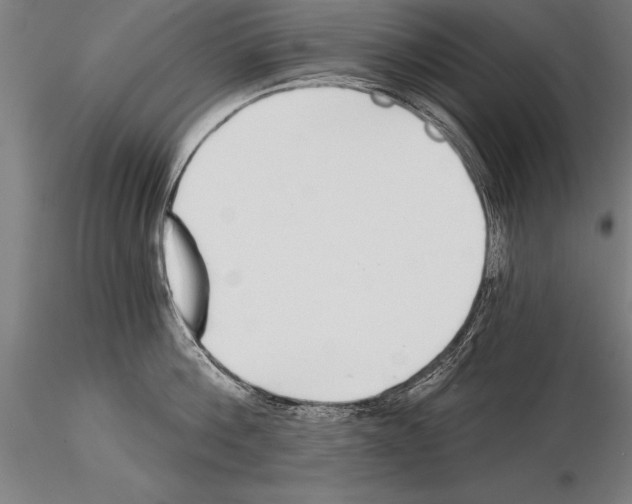 X0000115270812200912111201