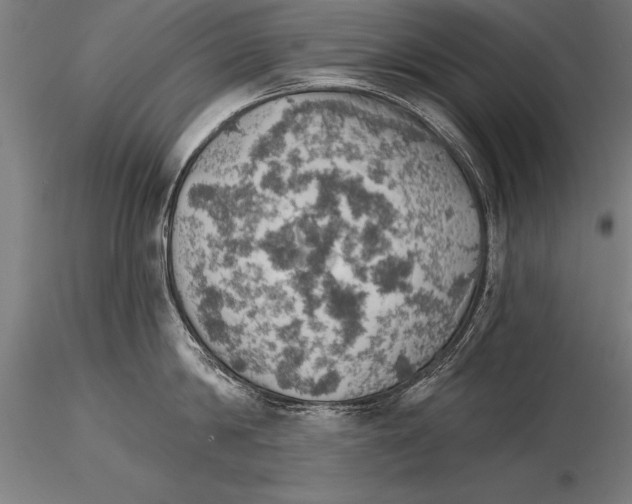 X0000115270814200912111201