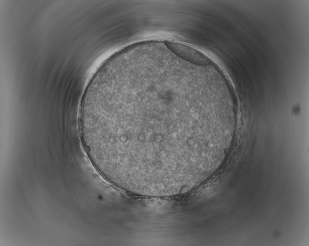 X0000115270815200912111201