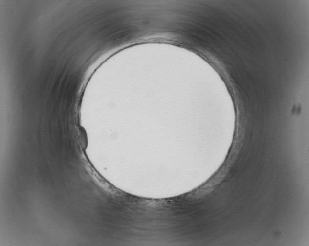 X0000115270816200912111201