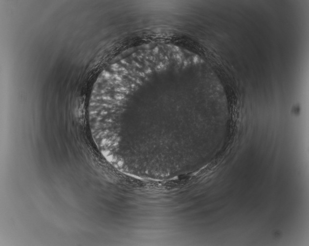 X0000115270818200912111201