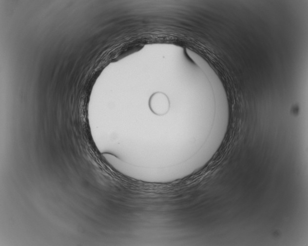 X0000115270819200912111201