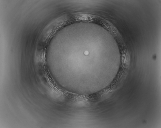 X0000115270820200912111201