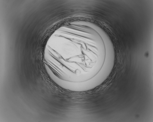 X0000115270821200912111201