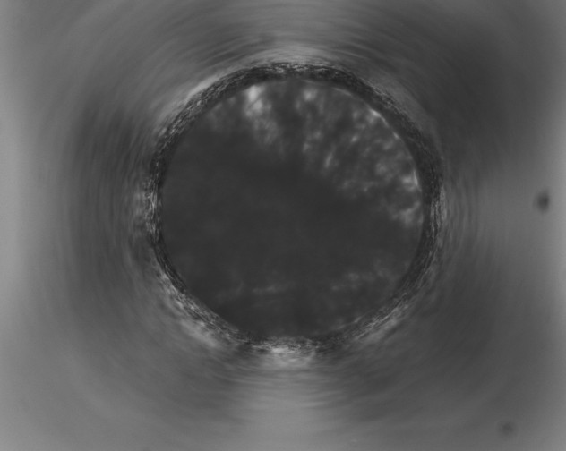 X0000115270822200912111201