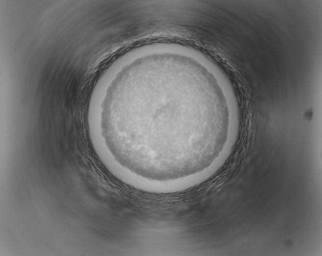 X0000115270824200912111201