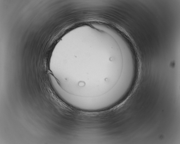 X0000115270825200912111201