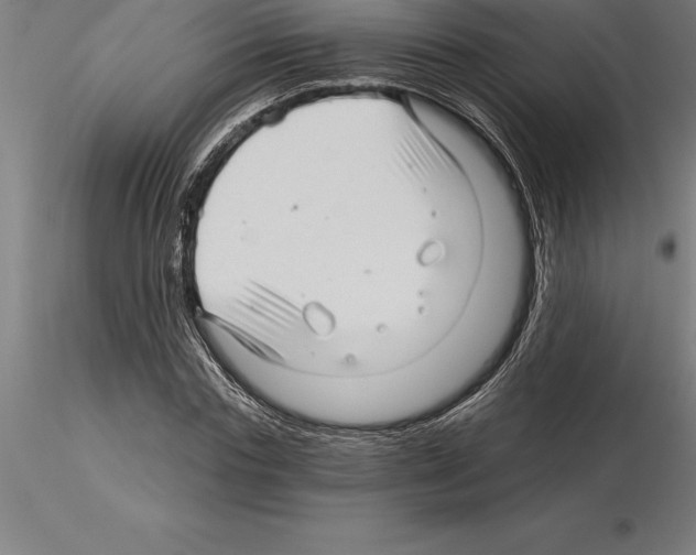 X0000115270827200912111201