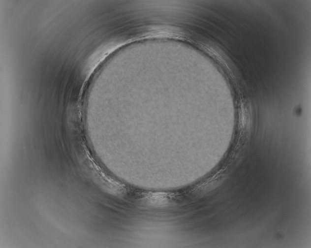 X0000115270828200912111201