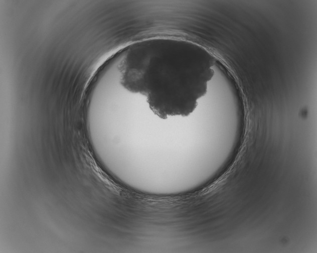 X0000115270830200912111201