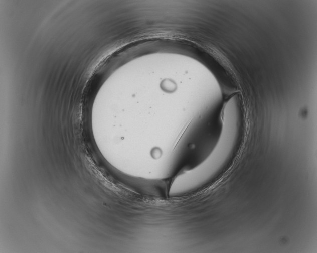 X0000115270831200912111201