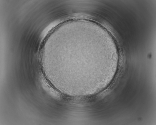 X0000115270832200912111201