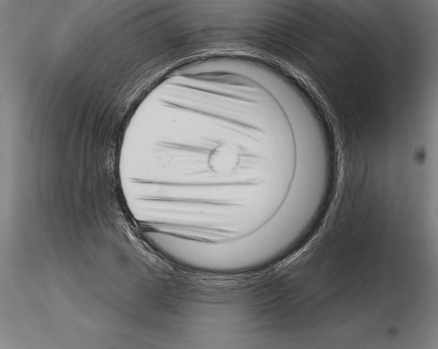 X0000115270833200912111201