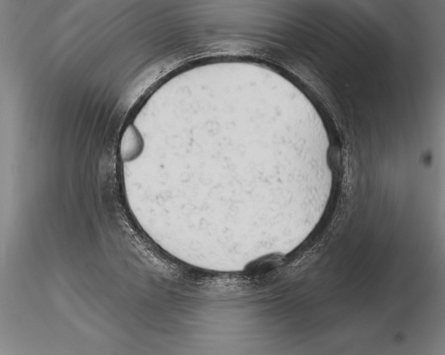 X0000115270834200912111201