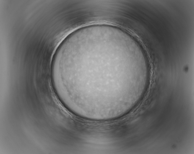 X0000115270836200912111201