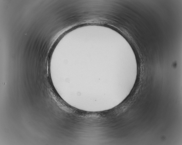 X0000115270838200912111201