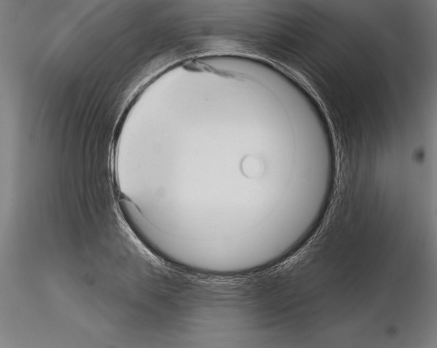 X0000115270839200912111201