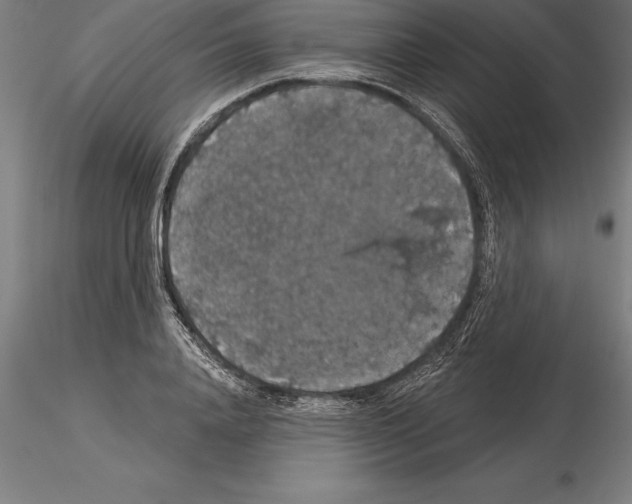 X0000115270840200912111201