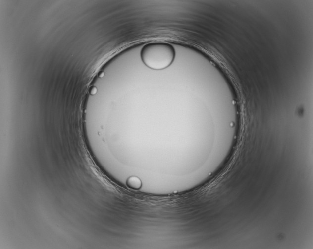 X0000115270842200912111201