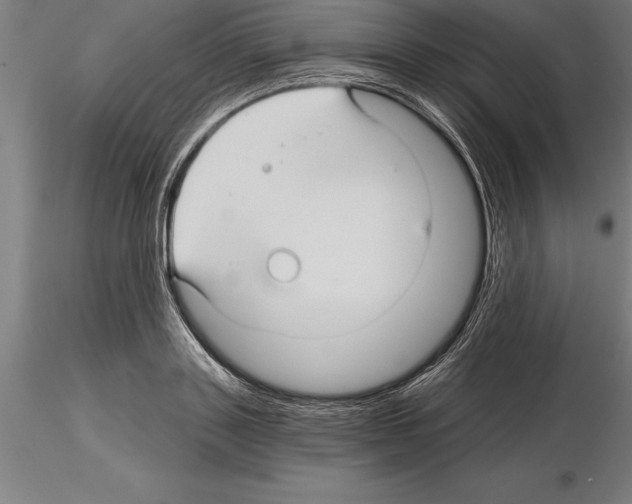 X0000115270843200912111201