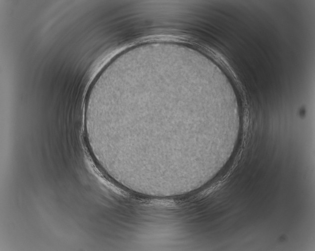 X0000115270844200912111201