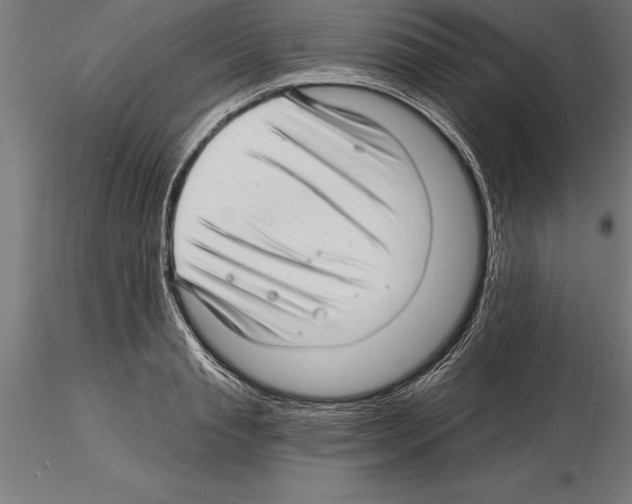 X0000115270845200912111201