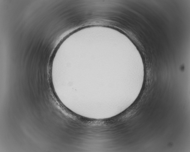 X0000115270846200912111201