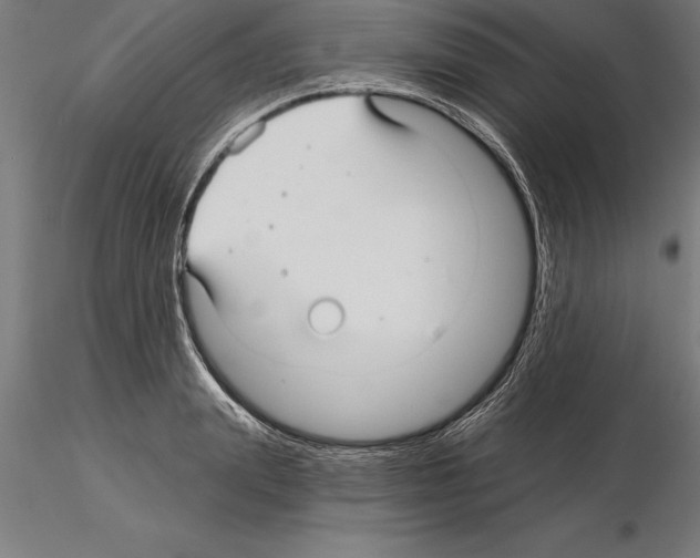 X0000115270847200912111201