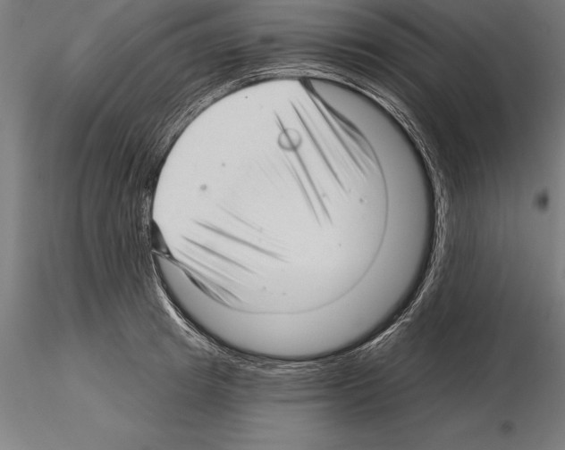 X0000115270849200912111201