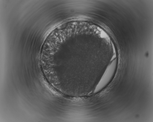 X0000115270850200912111201