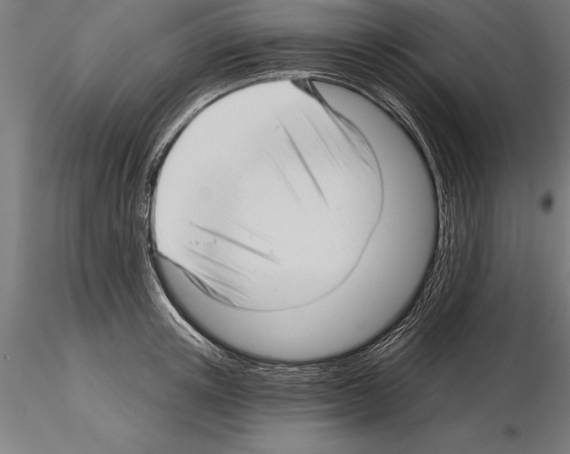 X0000115270851200912111201