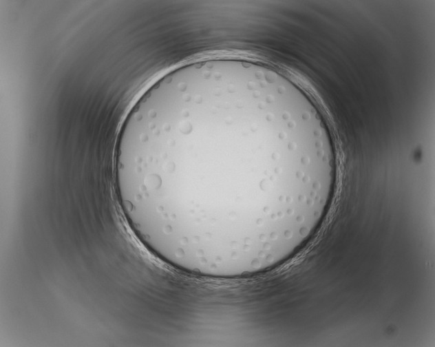 X0000115270852200912111201