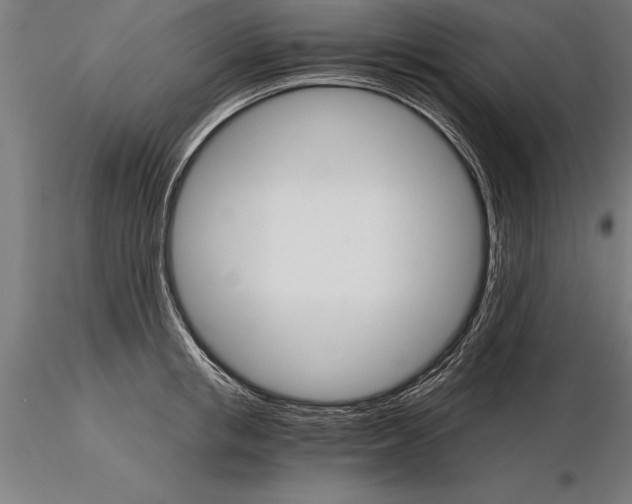 X0000115270853200912111201