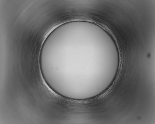 X0000115270855200912111201