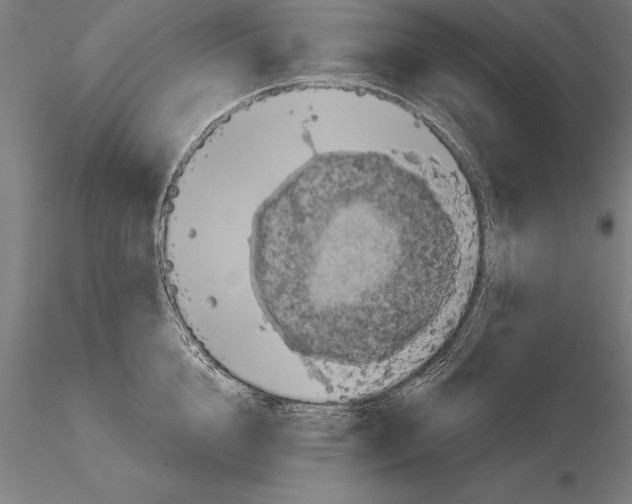 X0000115270856200912111201