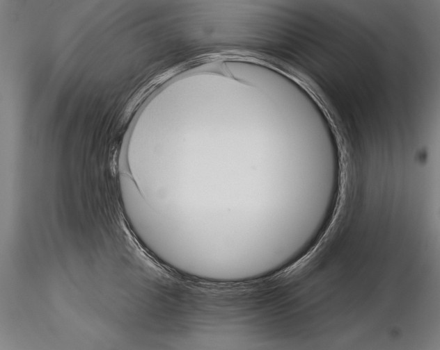 X0000115270857200912111201