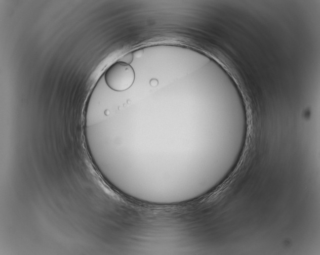 X0000115270858200912111201