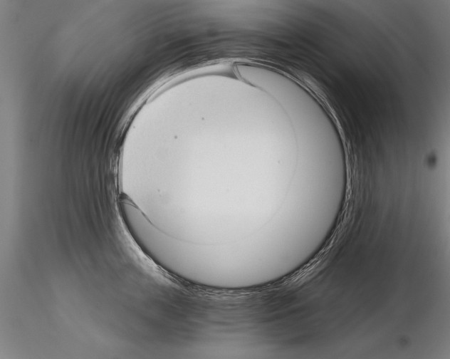 X0000115270859200912111201