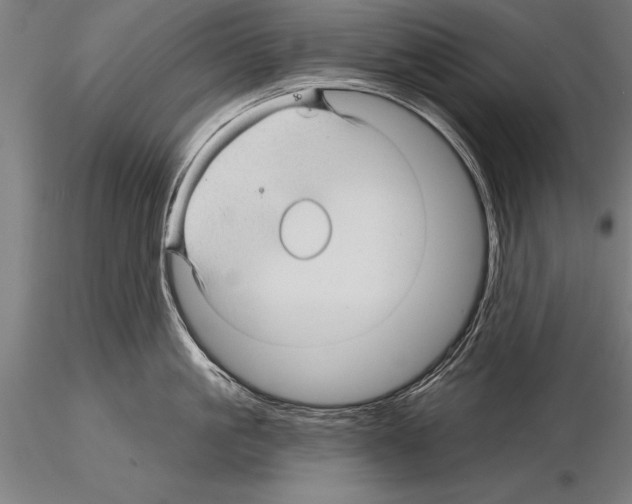 X0000115270861200912111201