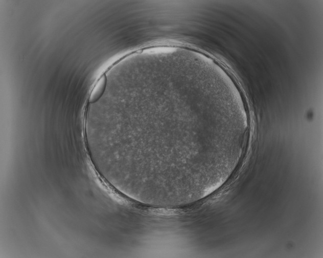 X0000115270862200912111201