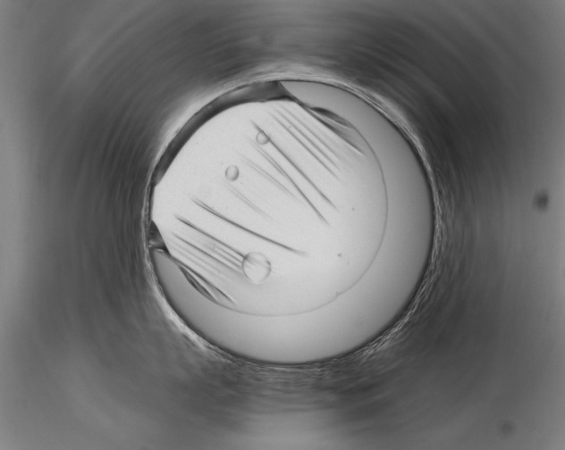 X0000115270863200912111201