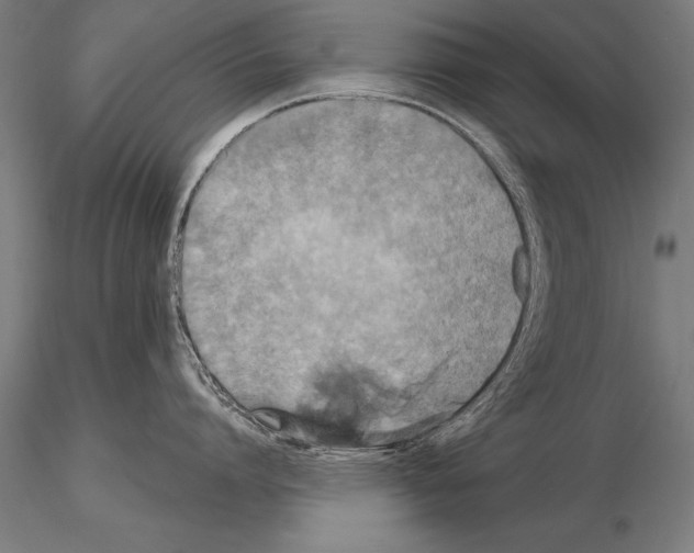 X0000115270864200912111201