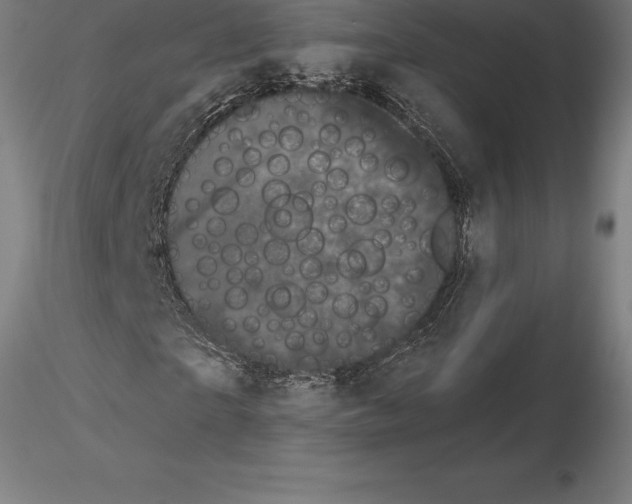 X0000115270865200912111201