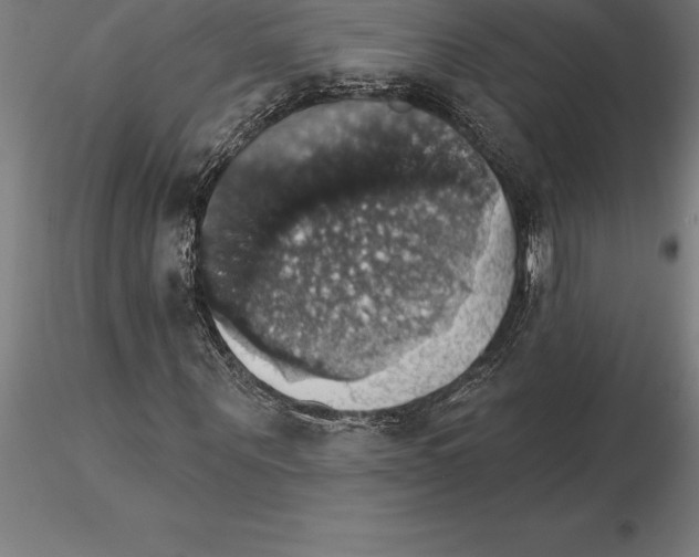 X0000115270867200912111201